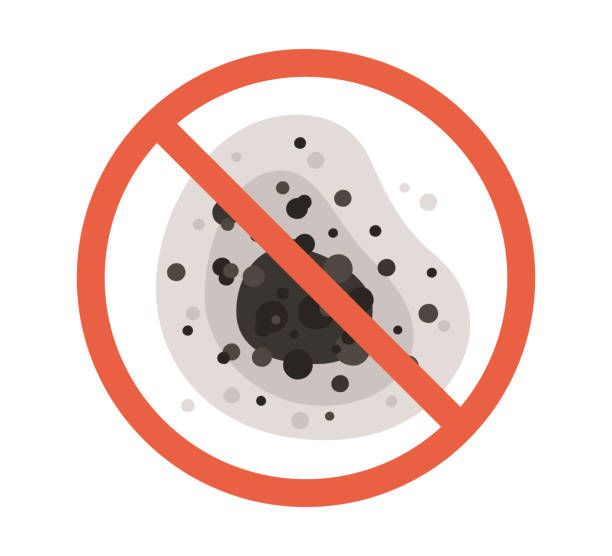 Best Comprehensive Air Testing for Mold Contaminants  in Rockford, MN
