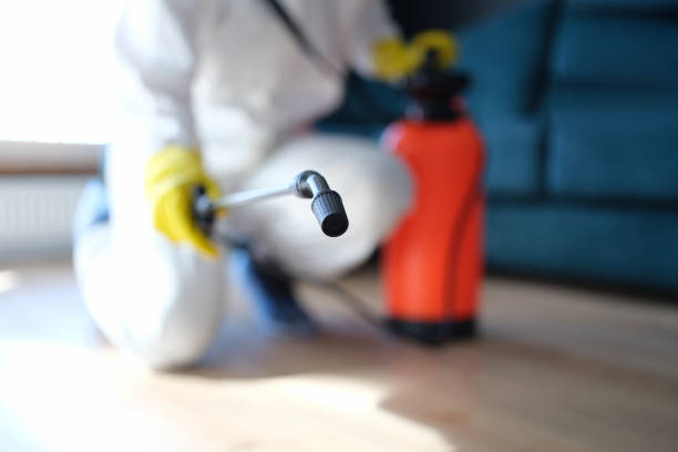 Environmental Consulting for Mold Prevention in Rockford, MN